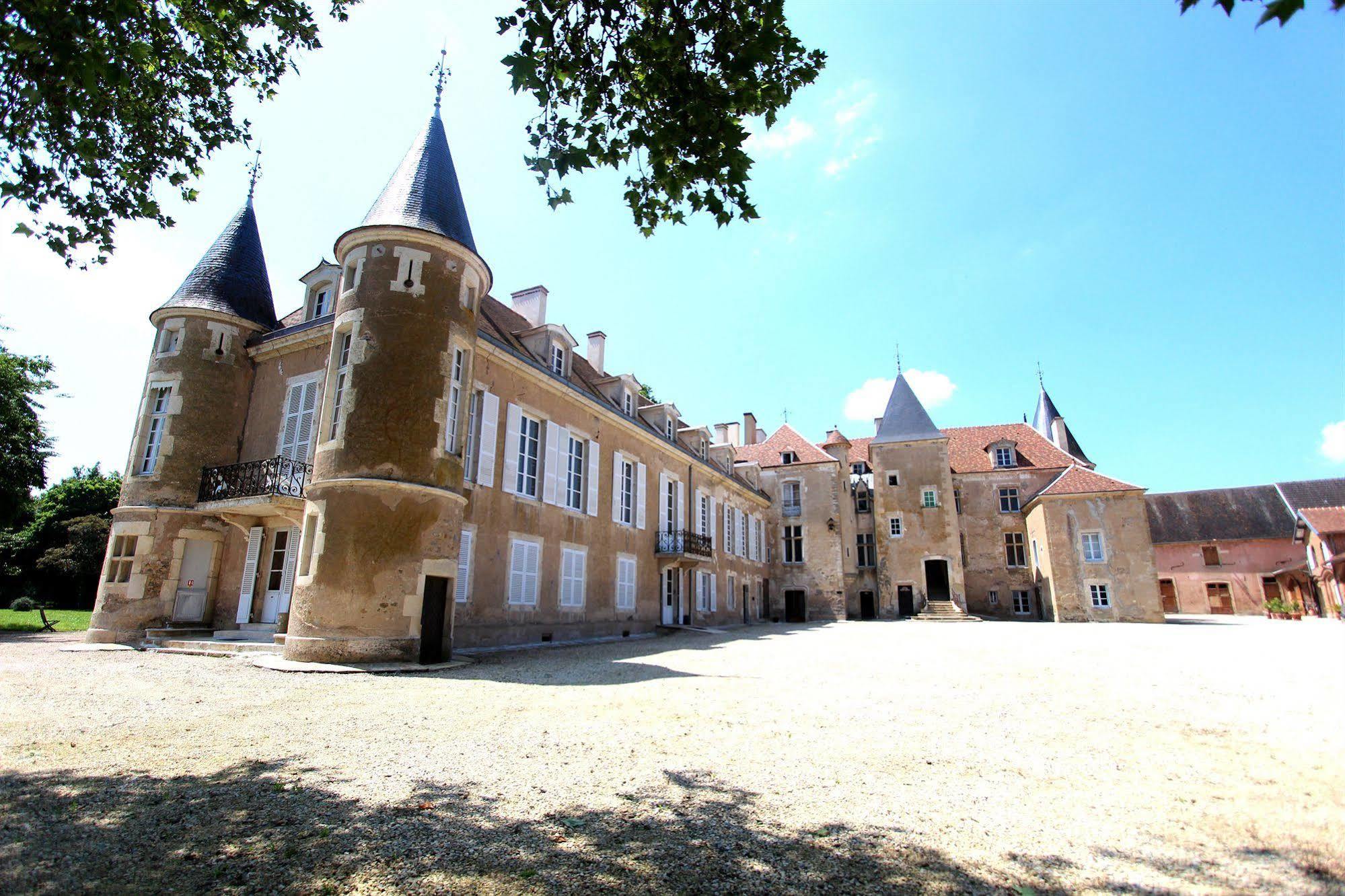 Chateau D'Island Vezelay Pontaubert المظهر الخارجي الصورة